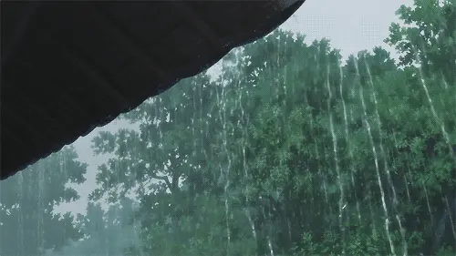 梦见下雨是什么征兆？好不好？