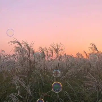 男人在逃避感情是什么意思