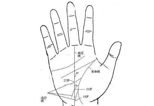 掌纹图解女右手详解（女人右手六指的命运）