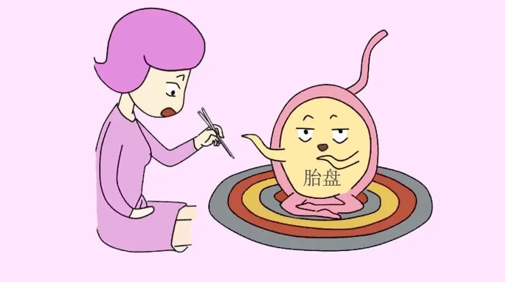 女人吃胎盘有好处吗？女人吃胎盘的作用与功效