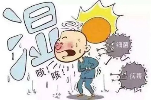 湿气重最怕三种茶是什么 湿气重会影响性功能吗